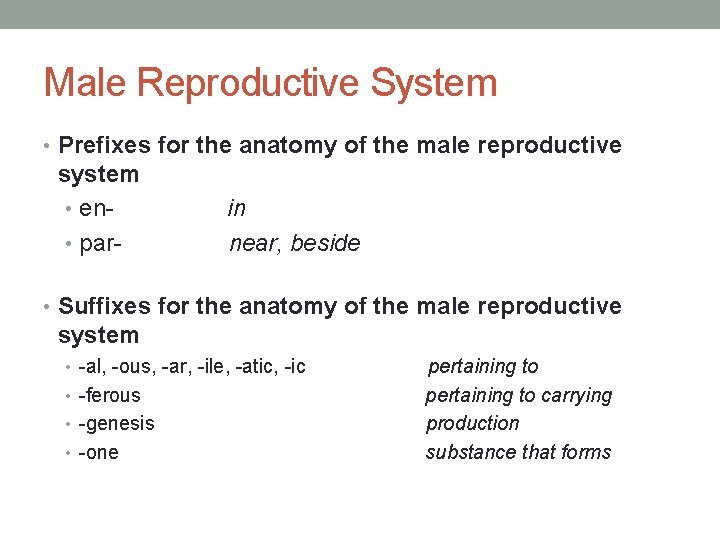 Male Reproductive System • Prefixes for the anatomy of the male reproductive system •