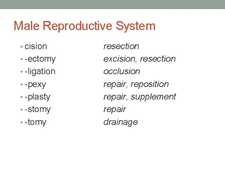 Male Reproductive System • cision • -ectomy • -ligation • -pexy • -plasty •