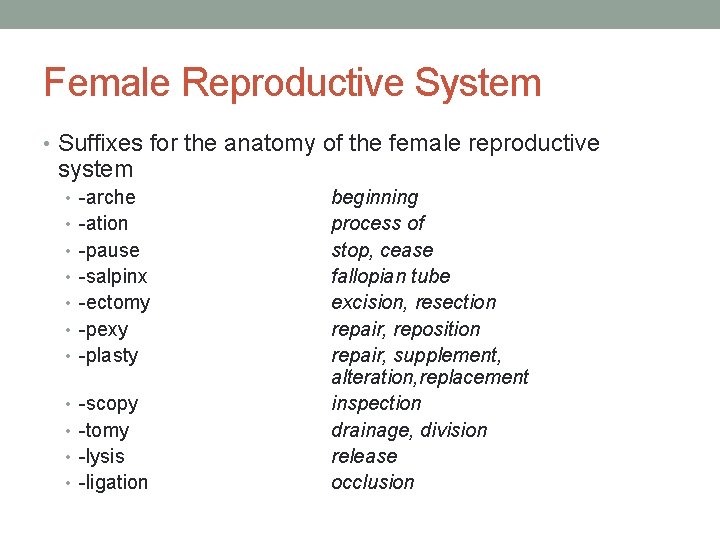 Female Reproductive System • Suffixes for the anatomy of the female reproductive system •