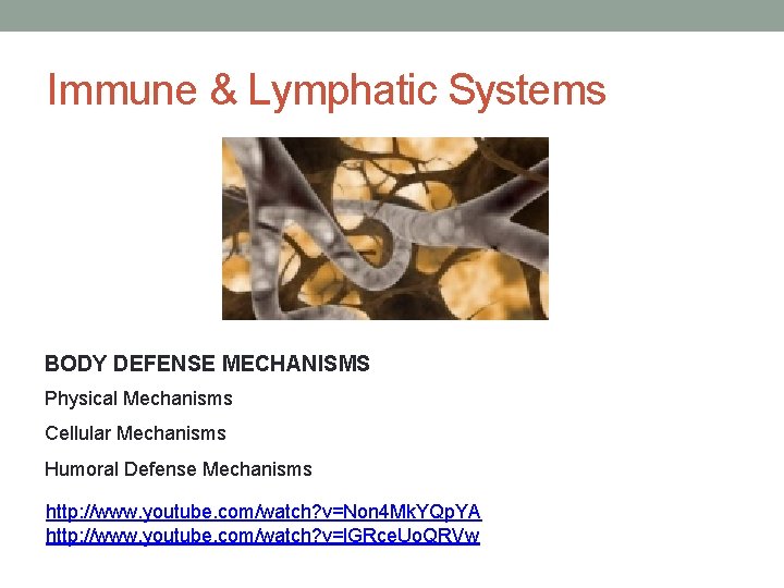 Immune & Lymphatic Systems BODY DEFENSE MECHANISMS Physical Mechanisms Cellular Mechanisms Humoral Defense Mechanisms