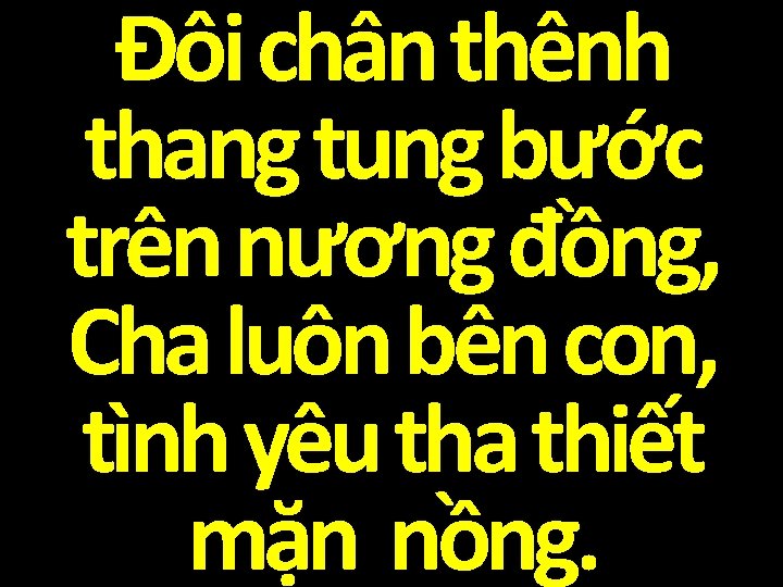 Đôi chân thênh thang tung bước trên nương đồng, Cha luôn bên con, tình