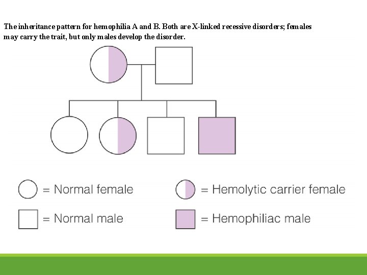 The inheritance pattern for hemophilia A and B. Both are X-linked recessive disorders; females