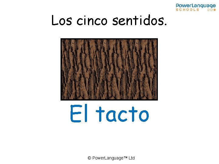 Los cinco sentidos. El tacto © Power. Language™ Ltd 