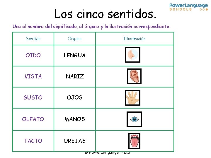 Los cinco sentidos. Une el nombre del significado, el órgano y la ilustración correspondiente.