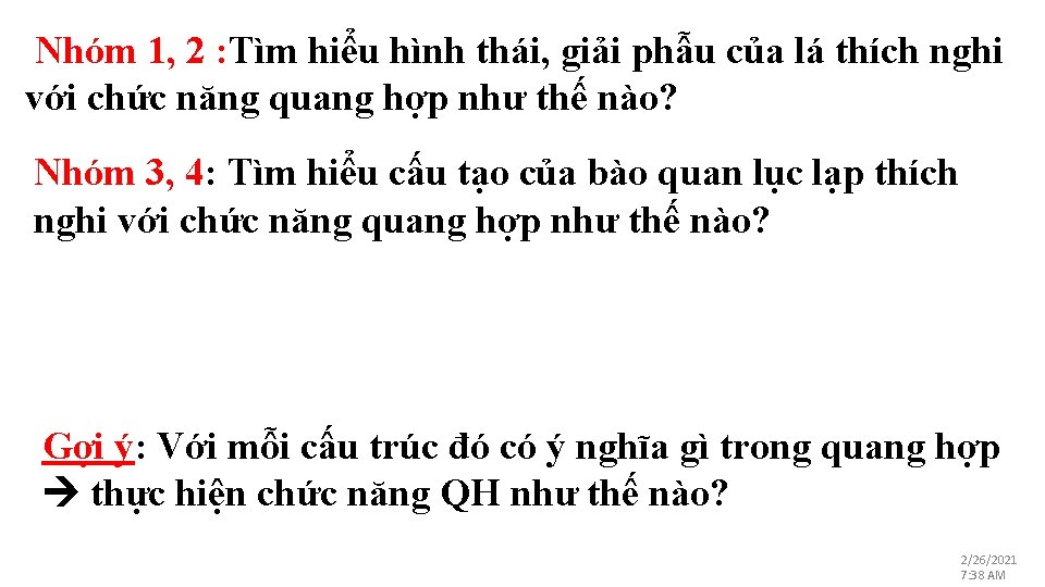 Nhóm 1, 2 : Tìm hiểu hình thái, giải phẫu của lá thích nghi