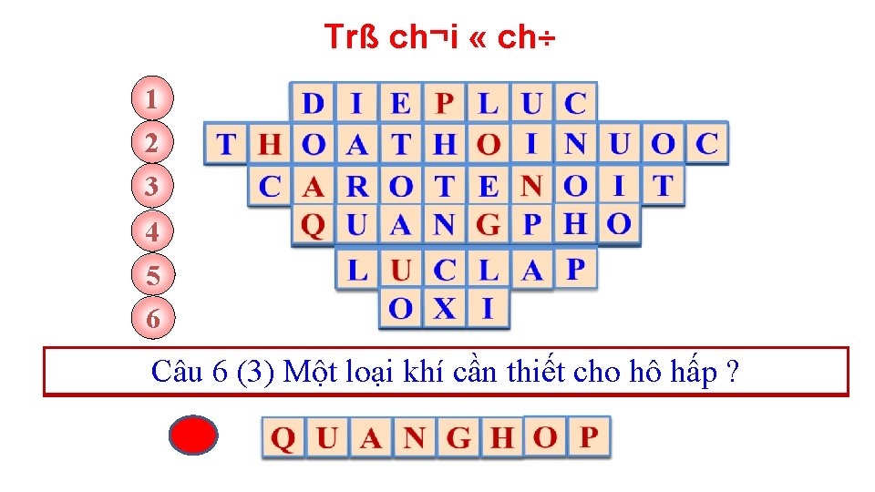 Trß ch¬i « ch÷ 1 2 3 4 5 6 Câu 3 ( 10):