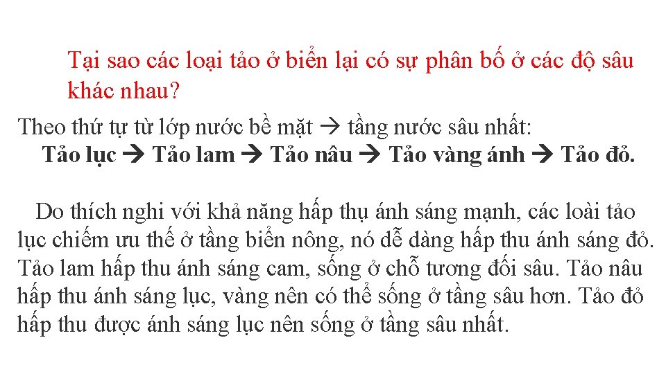 Tại sao các loại tảo ở biển lại có sự phân bố ở các