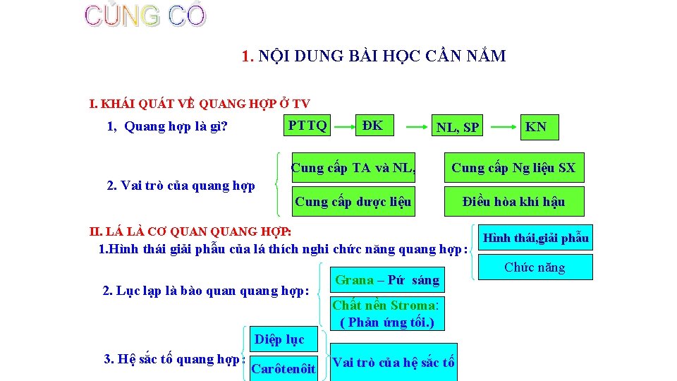 1. NỘI DUNG BÀI HỌC CẦN NẮM I. KHÁI QUÁT VỀ QUANG HỢP Ở