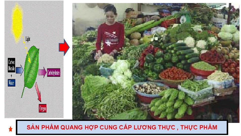 SẢN PHẨM QUANG HỢP CUNG CẤP LƯƠNG THỰC , THỰC PHẨM 