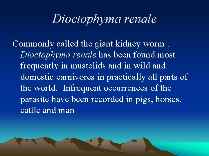 Dioctophyma renale Commonly called the giant kidney worm , Dioctophyma renale has been found