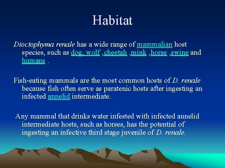  Habitat Dioctophyma renale has a wide range of mammalian host species, such as