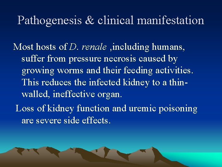 Pathogenesis & clinical manifestation Most hosts of D. renale , including humans, suffer from