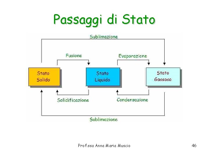Passaggi di Stato Prof. ssa Anna Maria Muscio 46 Passaggi di Stato Prof. ssa Anna Maria Muscio 46