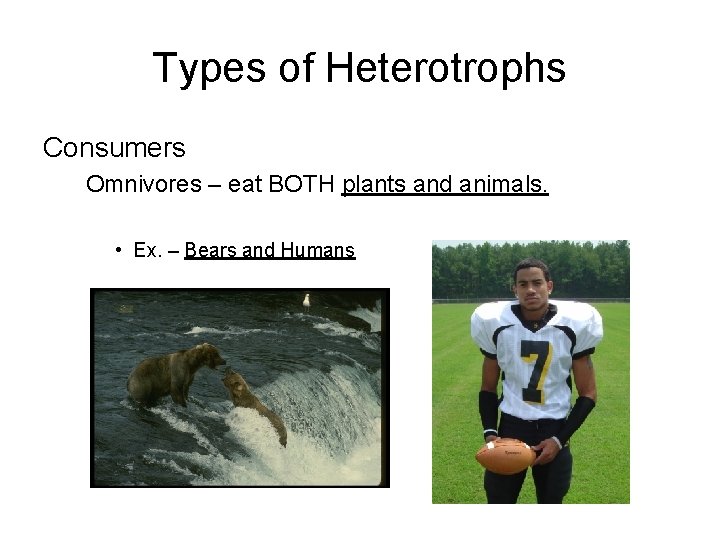 Types of Heterotrophs Consumers Omnivores – eat BOTH plants and animals. • Ex. –