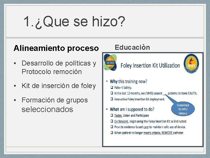 1. ¿Que se hizo? Alineamiento proceso • Desarrollo de políticas y Protocolo remoción • 1. ¿Que se hizo? Alineamiento proceso • Desarrollo de políticas y Protocolo remoción •