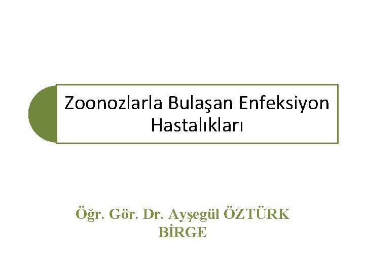 Zoonozlarla Bulaşan Enfeksiyon Hastalıkları Öğr. Gör. Dr. Ayşegül ÖZTÜRK BİRGE 