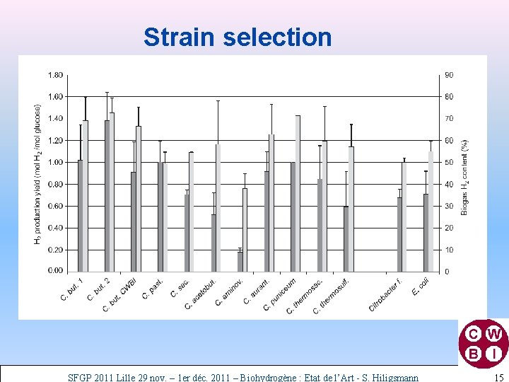 Strain selection SFGP 2011 Lille 29 nov. – 1 er déc. 2011 – Biohydrogène