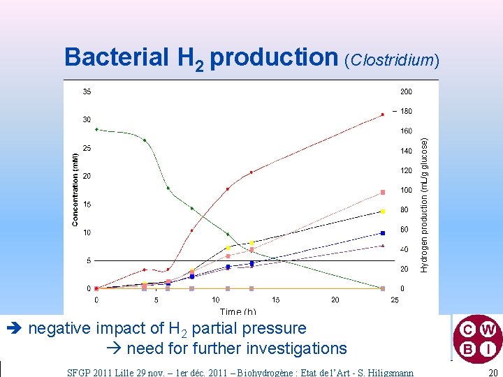 Hydrogen production (m. L/g glucose) Bacterial H 2 production (Clostridium) Time (h) è negative