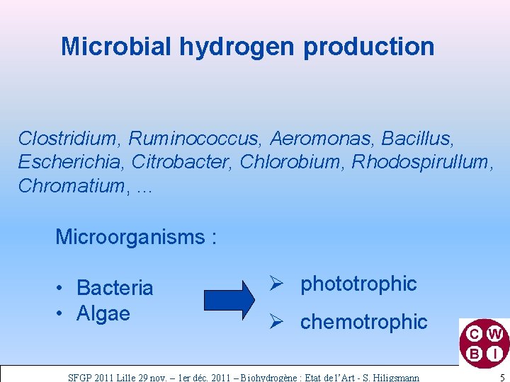 Microbial hydrogen production Clostridium, Ruminococcus, Aeromonas, Bacillus, Escherichia, Citrobacter, Chlorobium, Rhodospirullum, Chromatium, . .