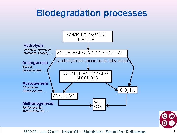 Biodegradation processes COMPLEX ORGANIC MATTER Hydrolysis cellulases, amylases proteases, lipases, … SOLUBLE ORGANIC COMPOUNDS