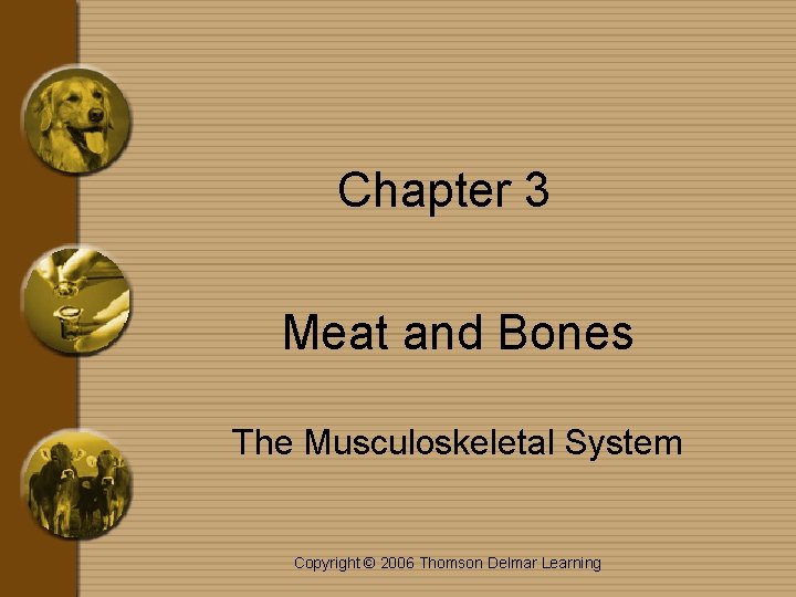 Chapter 3 Meat and Bones The Musculoskeletal System Copyright © 2006 Thomson Delmar Learning