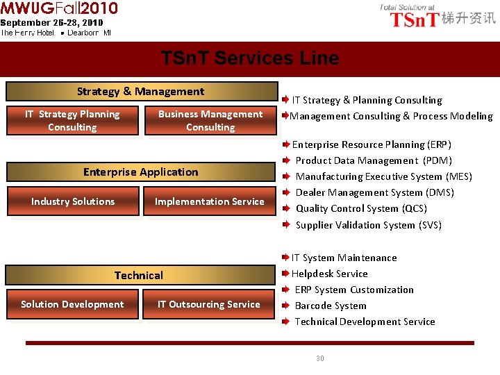 TSn. T Services Line Strategy & Management IT Strategy Planning Consulting Business Management Consulting