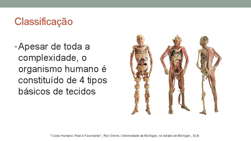 Classificação • Apesar de toda a complexidade, o organismo humano é constituído de 4 Classificação • Apesar de toda a complexidade, o organismo humano é constituído de 4