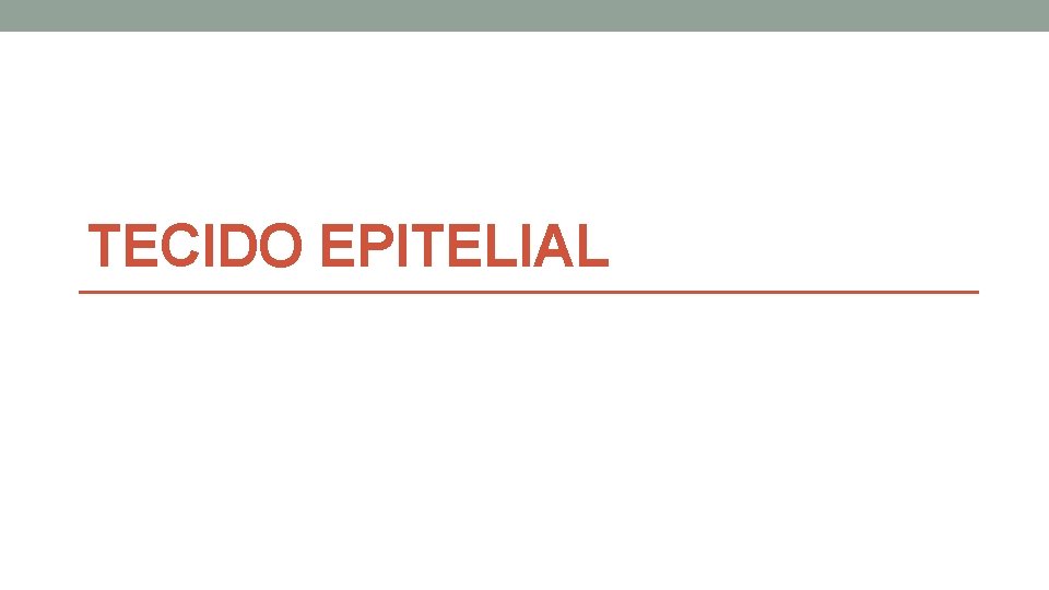 TECIDO EPITELIAL TECIDO EPITELIAL