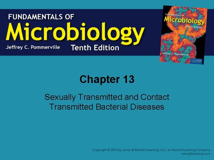 Chapter 13 Sexually Transmitted and Contact Transmitted Bacterial Diseases 