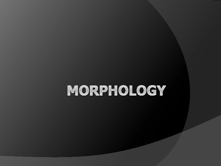 MORPHOLOGY 