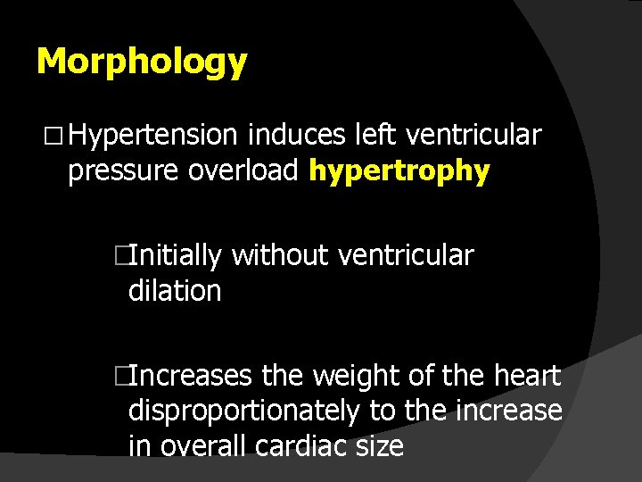 Morphology � Hypertension induces left ventricular pressure overload hypertrophy �Initially without ventricular dilation �Increases