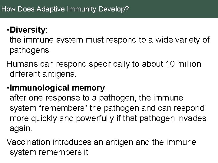 How Does Adaptive Immunity Develop? • Diversity: the immune system must respond to a