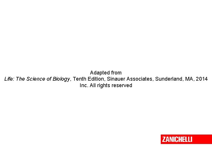 Adapted from Life: The Science of Biology, Tenth Edition, Sinauer Associates, Sunderland, MA, 2014