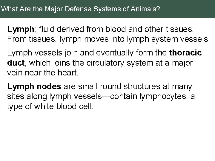 What Are the Major Defense Systems of Animals? Lymph: fluid derived from blood and