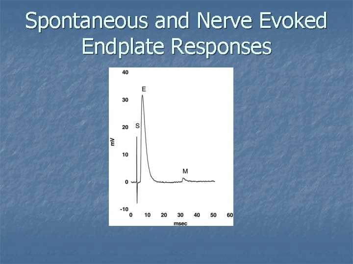 Spontaneous and Nerve Evoked Endplate Responses 