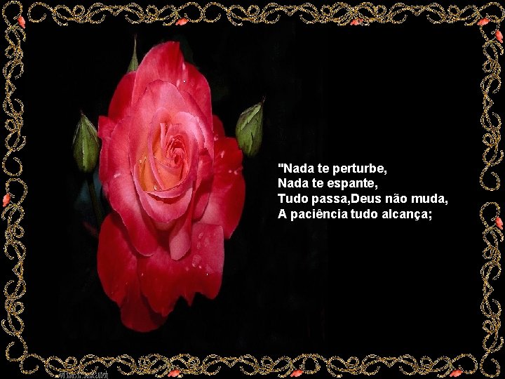 "Nada te perturbe, Nada te espante, Tudo passa, Deus não muda, A paciência tudo