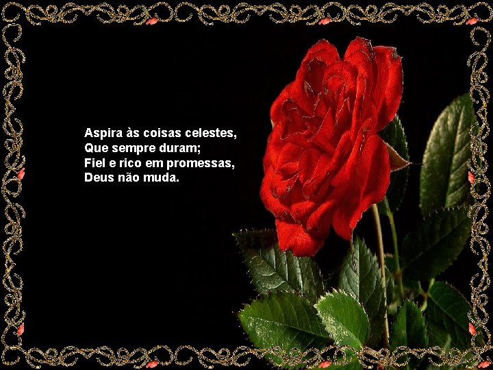 Aspira às coisas celestes, Que sempre duram; Fiel e rico em promessas, Deus não