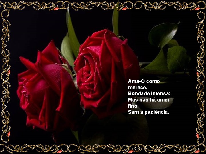 Ama-O como merece, Bondade imensa; Mas não há amor fino Sem a paciência. 