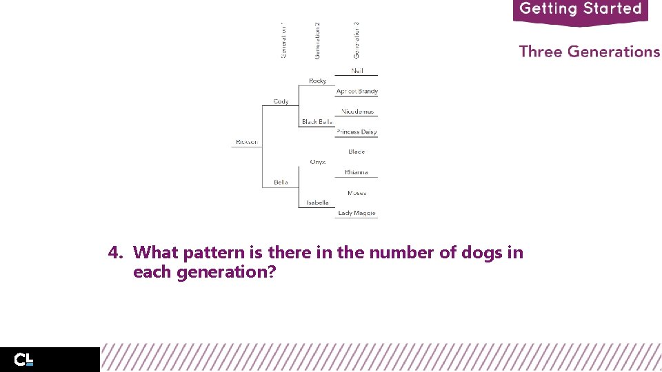 4. What pattern is there in the number of dogs in each generation? Lesson