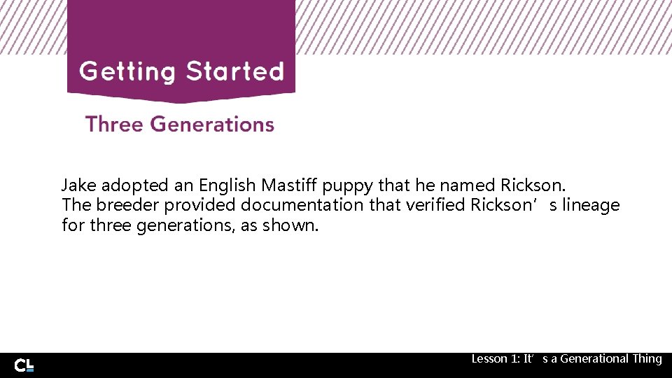 Jake adopted an English Mastiff puppy that he named Rickson. The breeder provided documentation