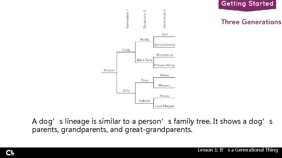 A dog’s lineage is similar to a person’s family tree. It shows a dog’s