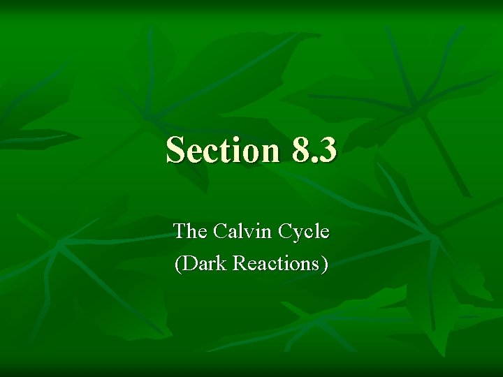 Section 8. 3 The Calvin Cycle (Dark Reactions) 