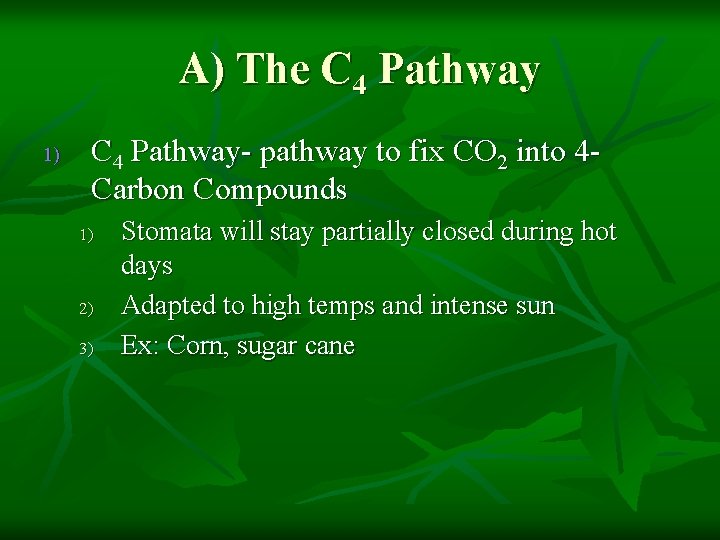 A) The C 4 Pathway 1) C 4 Pathway- pathway to fix CO 2