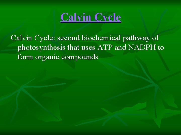 Calvin Cycle: second biochemical pathway of photosynthesis that uses ATP and NADPH to form