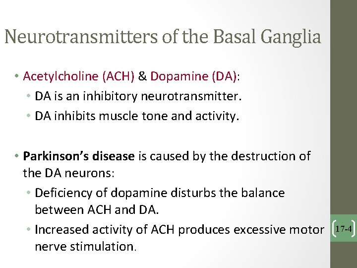 Neurotransmitters of the Basal Ganglia • Acetylcholine (ACH) & Dopamine (DA): • DA is