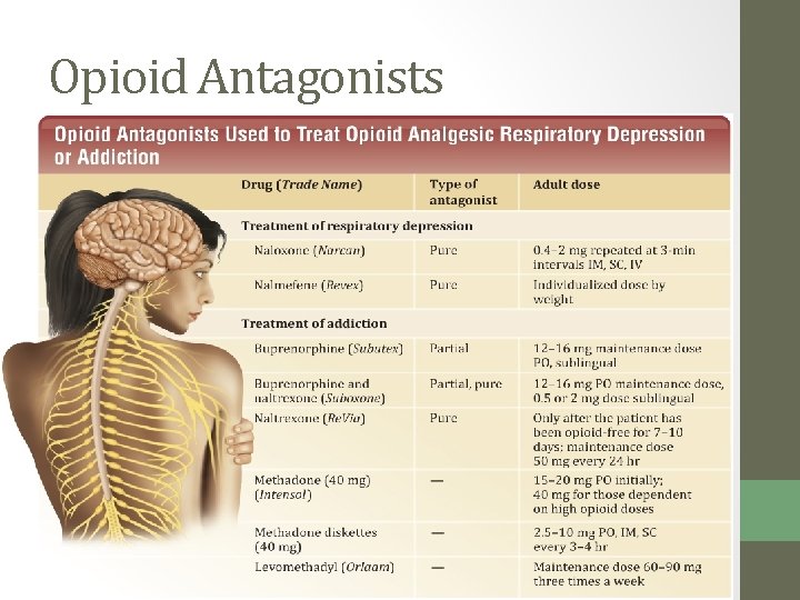 Opioid Antagonists 