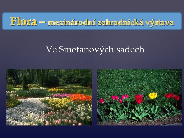 Flora – mezinárodní zahradnická výstava Ve Smetanových sadech 