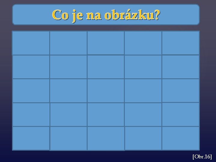 Co je na obrázku? [Obr. 16] 