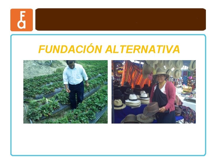 FUNDACIÓN ALTERNATIVA 