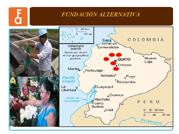 FUNDACIÓN ALTERNATIVA 